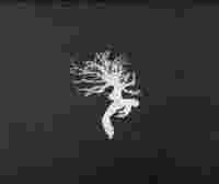 Neat Video After Effects torrent